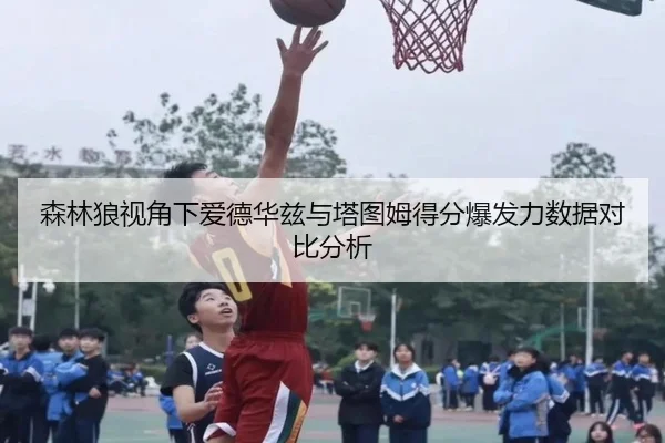 森林狼视角下爱德华兹与塔图姆得分爆发力数据对比分析